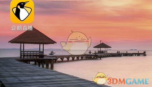 我的乡村卖货体验